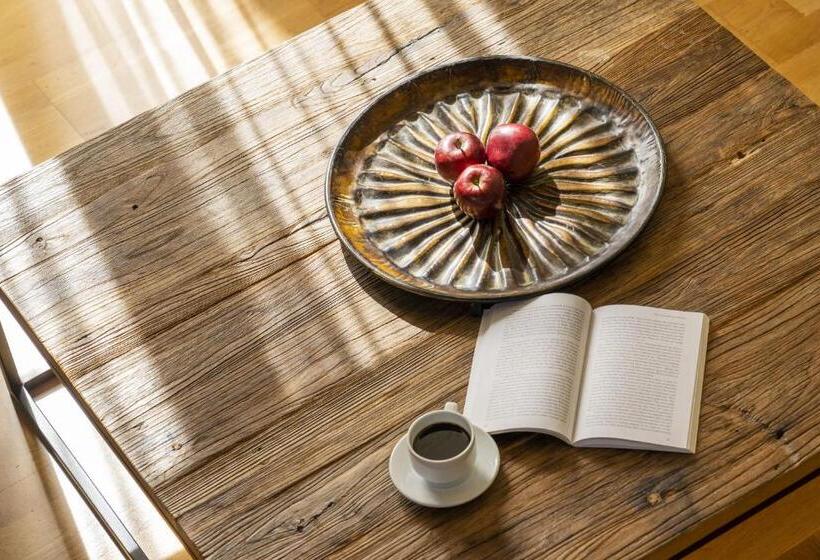 سوئیت اجرایی با مشاهده, Domotel Anemolia Mountain Resort