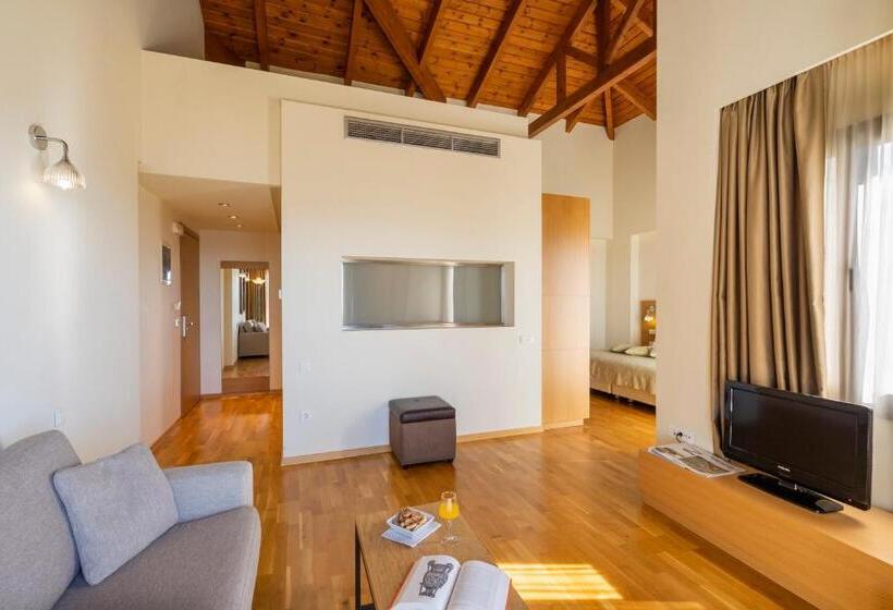 سوئیت اجرایی با مشاهده, Domotel Anemolia Mountain Resort