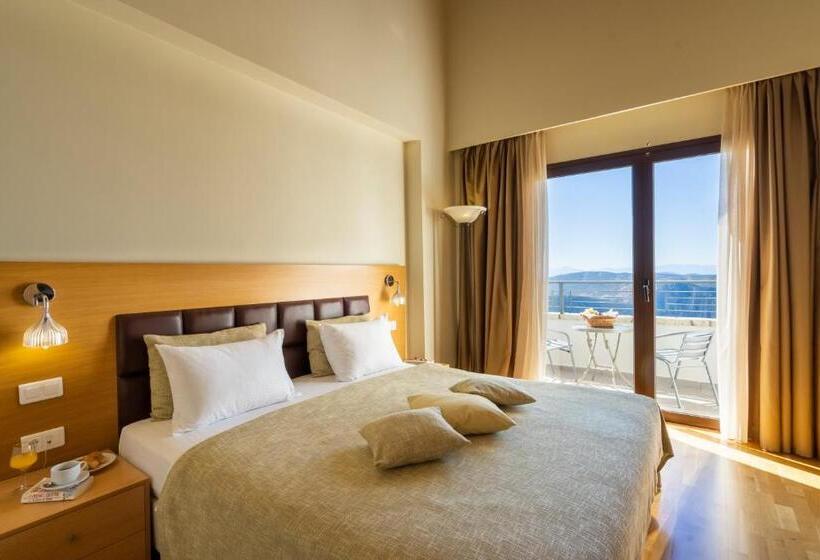 سوئیت اجرایی با مشاهده, Domotel Anemolia Mountain Resort