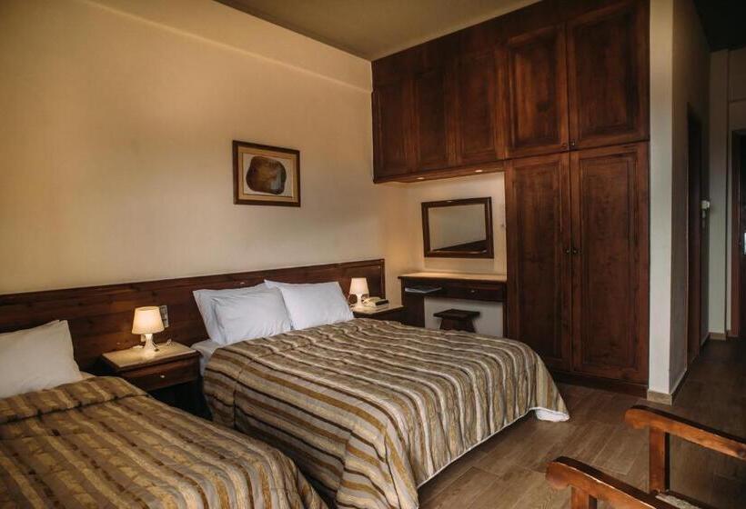Трехместный Номер Стандарт с Видом, Domotel Anemolia Mountain Resort