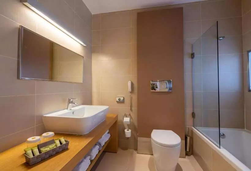 エグゼクティブ トリプルルーム、眺望あり, Domotel Anemolia Mountain Resort