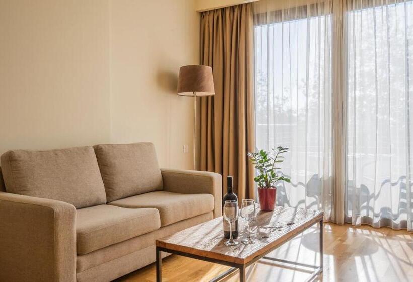 اتاق سه گانه اجرایی با مشاهده, Domotel Anemolia Mountain Resort