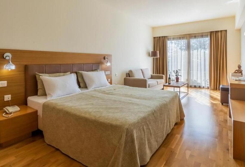 اتاق سه گانه اجرایی با مشاهده, Domotel Anemolia Mountain Resort