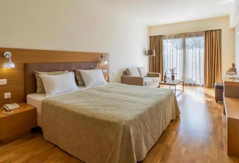 エグゼクティブ トリプルルーム、眺望あり, Domotel Anemolia Mountain Resort