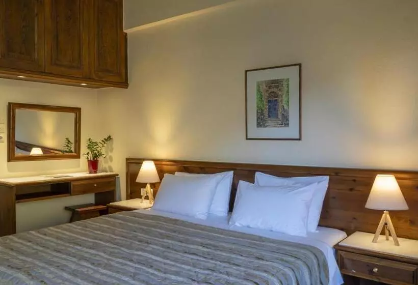 シングルデラックスルーム, Domotel Anemolia Mountain Resort
