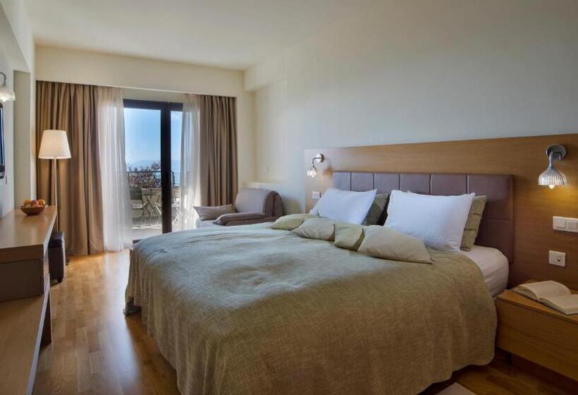 اتاق اجرایی با مشاهده, Domotel Anemolia Mountain Resort