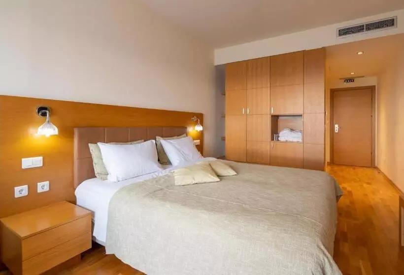 エグゼクティブ ルーム、眺望あり, Domotel Anemolia Mountain Resort