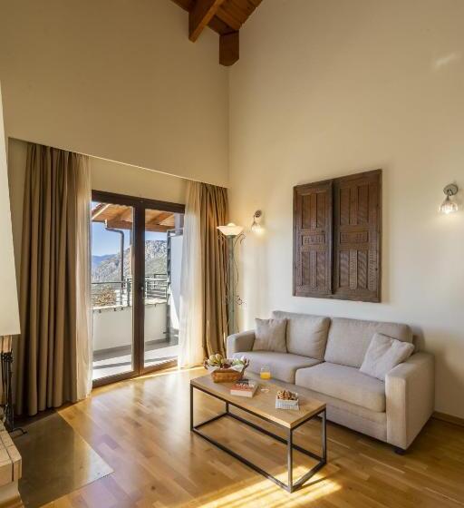 سوئیت اجرایی با مشاهده, Domotel Anemolia Mountain Resort