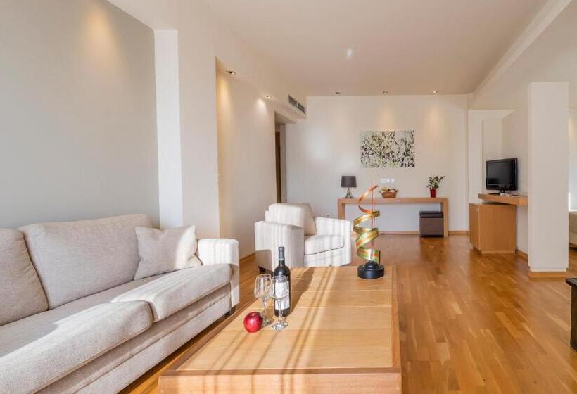 سوئیت اجرایی با مشاهده, Domotel Anemolia Mountain Resort