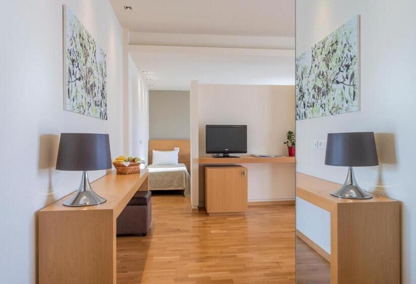 سوئیت اجرایی با مشاهده, Domotel Anemolia Mountain Resort