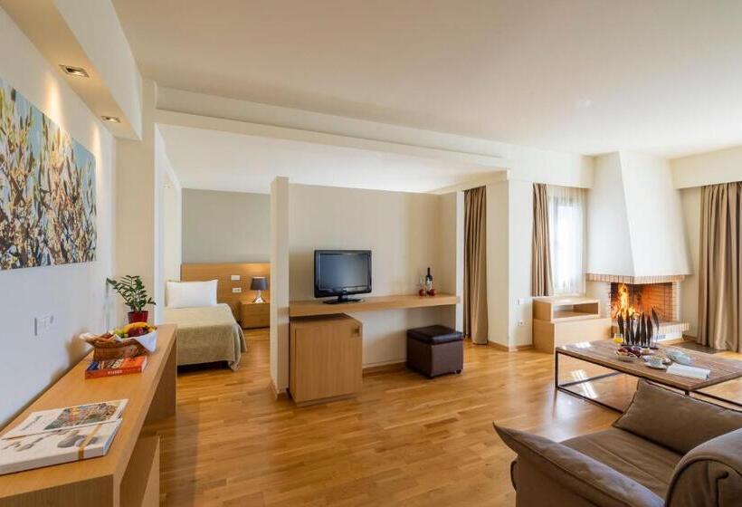 سوئیت اجرایی با مشاهده, Domotel Anemolia Mountain Resort