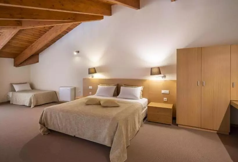 エクゼクティブスイート, Domotel Anemolia Mountain Resort