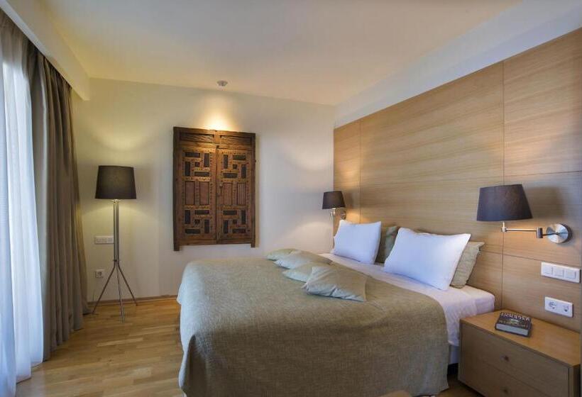 Президентский Люкс, Domotel Anemolia Mountain Resort