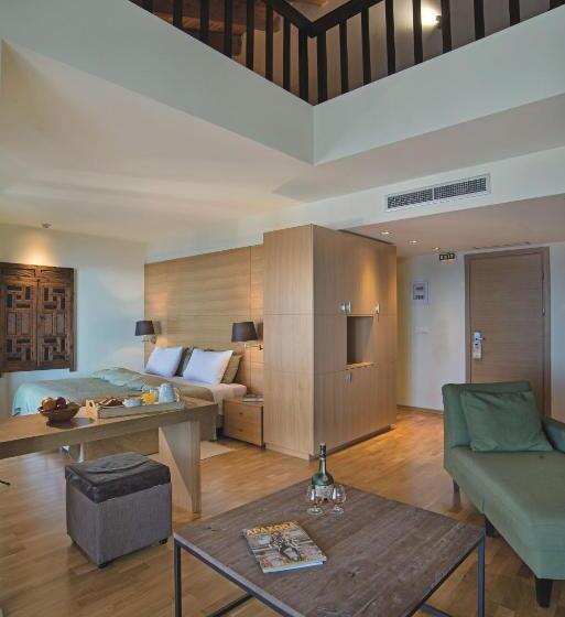 سوییت اجرایی, Domotel Anemolia Mountain Resort