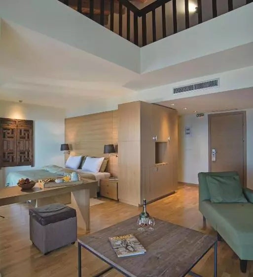 エクゼクティブスイート, Domotel Anemolia Mountain Resort