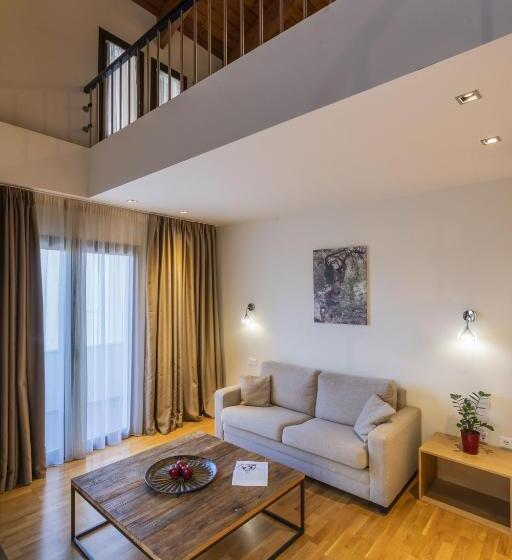 سوییت اجرایی, Domotel Anemolia Mountain Resort