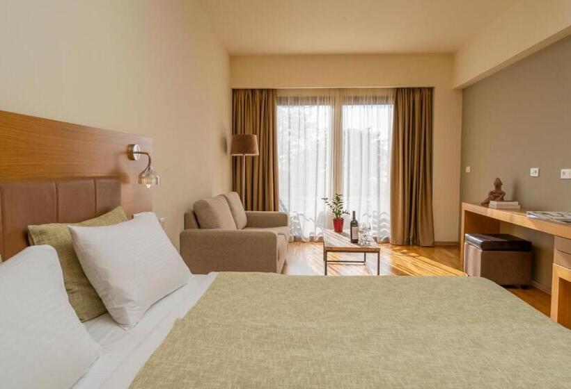 Представительский трехместный номер с видом, Domotel Anemolia Mountain Resort