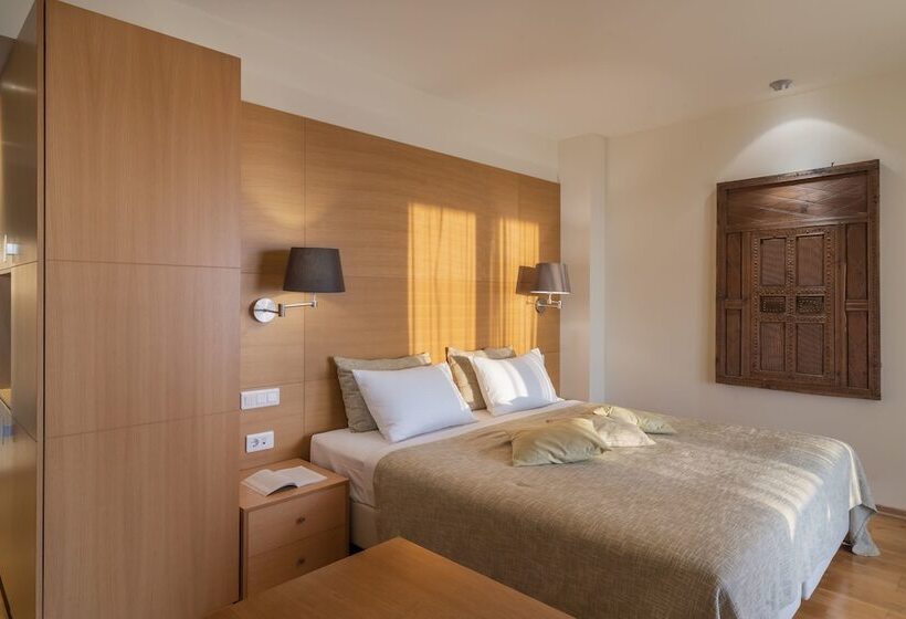 سوییت اجرایی, Domotel Anemolia Mountain Resort