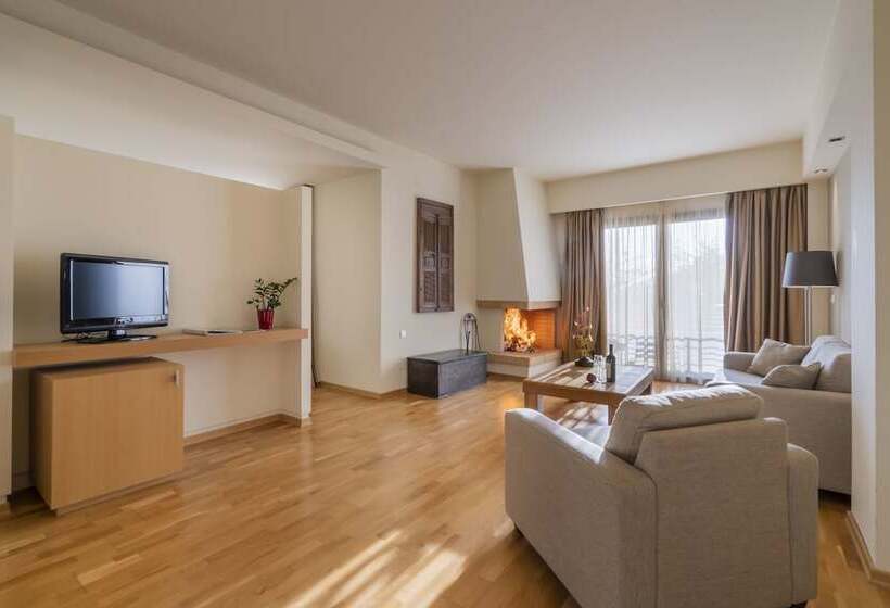 سوییت اجرایی, Domotel Anemolia Mountain Resort