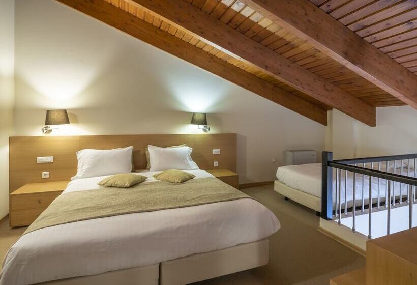 سوییت اجرایی, Domotel Anemolia Mountain Resort