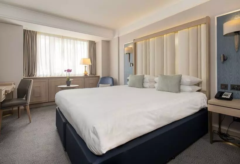 キングサイズベッドのデラックスルーム, Danubius Hotel Regents Park