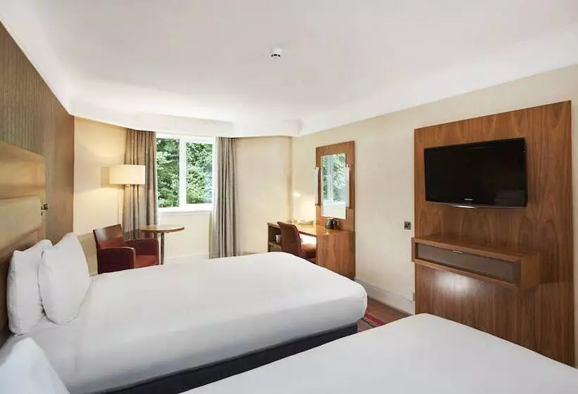 デラックスルーム, Orida Hotels Newbury