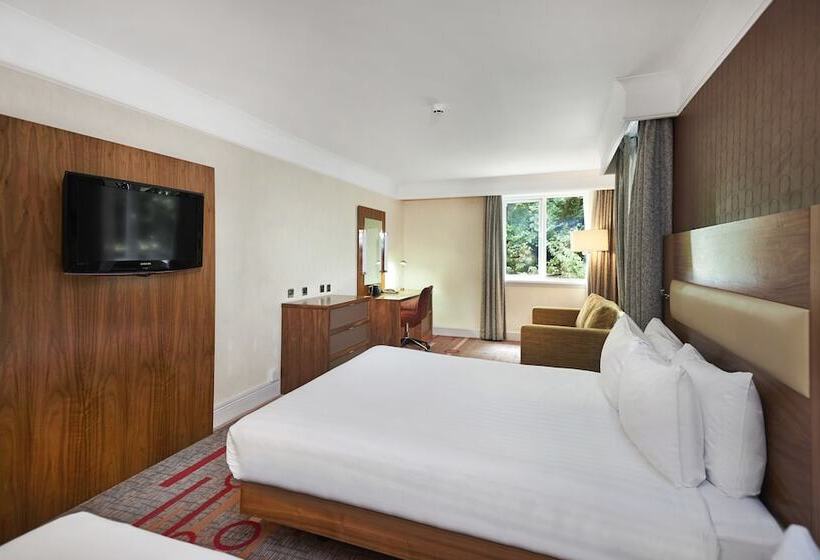 اتاق لوکس خانوادگی, Orida Hotels Newbury