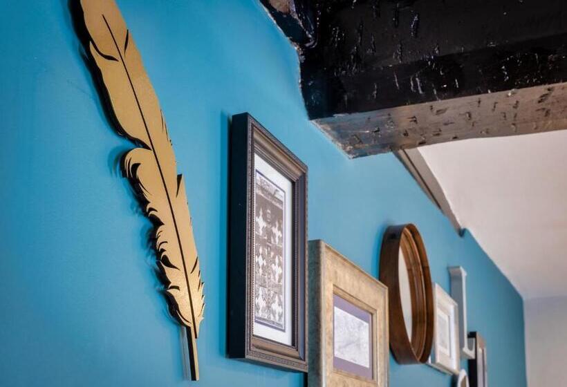 اتاق لوکس, The Feathers
