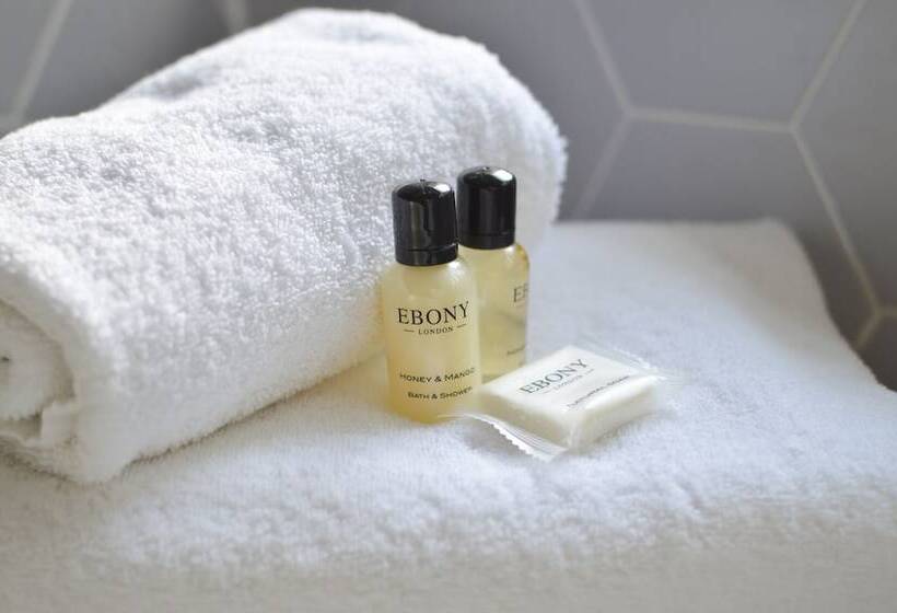 חדר סטנדרט יחיד, The Star