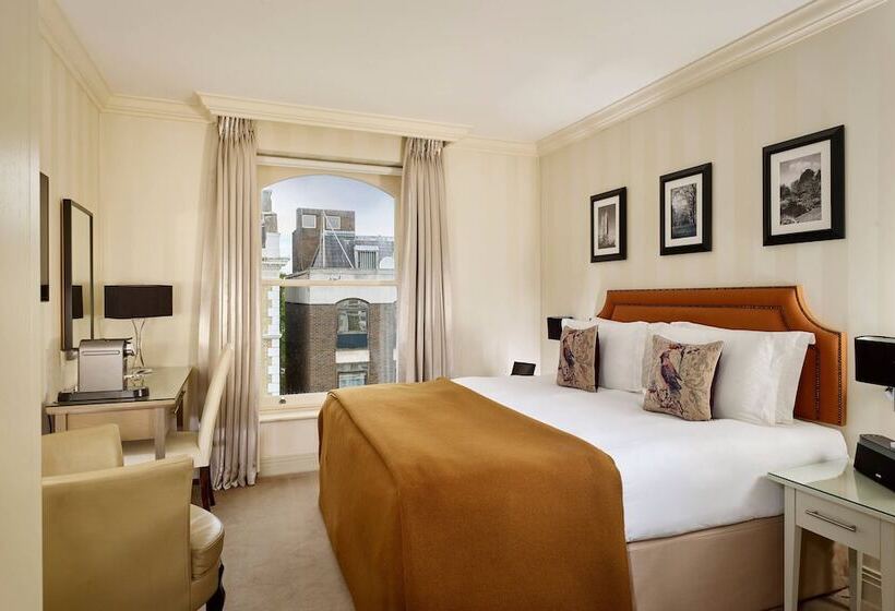 エクゼクティブルーム, Xenia, Autograph Collection