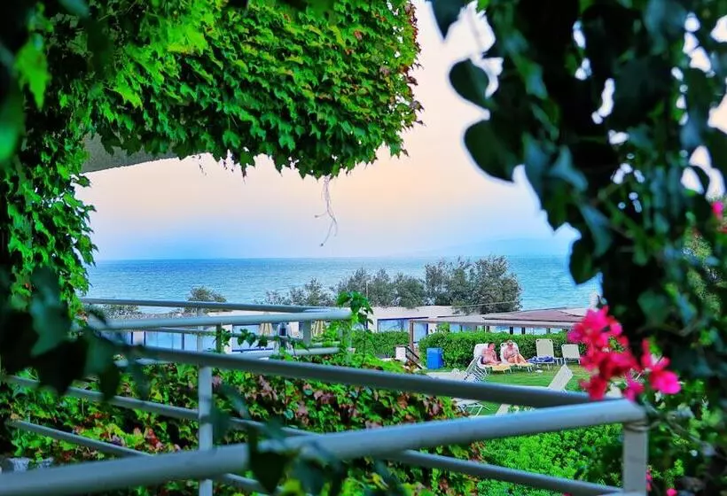 Standard-bungalow, Apollonia Beach Resort & Spa