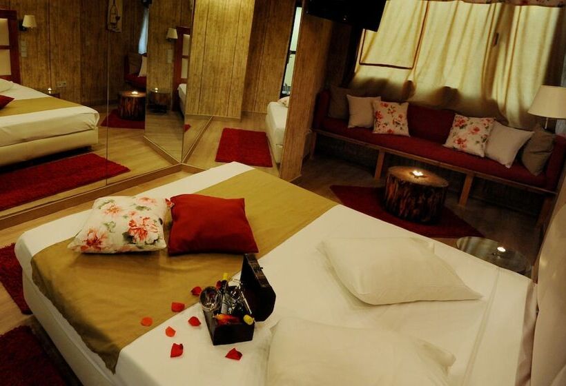 스탠다드 룸, Carol