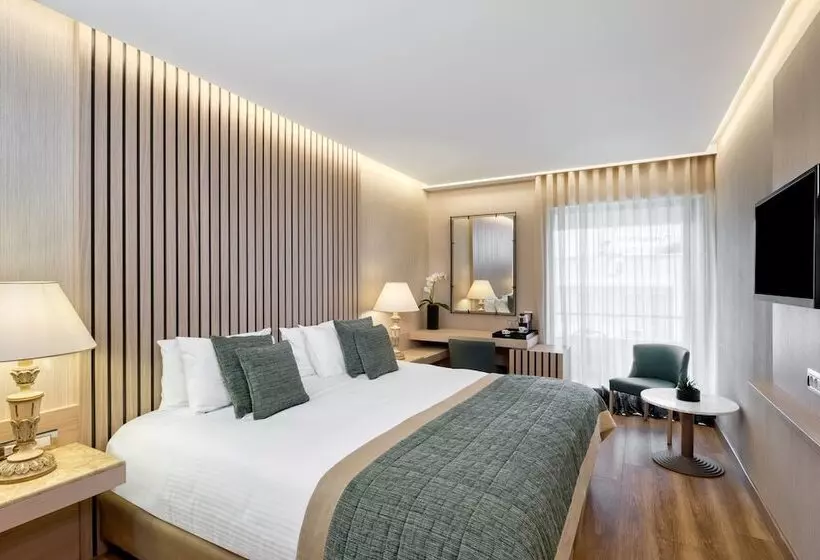 エクゼクティブルーム, Divani Palace Acropolis
