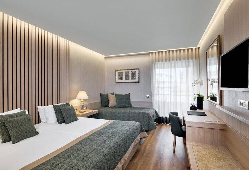 Трехместный Президентский, Divani Palace Acropolis
