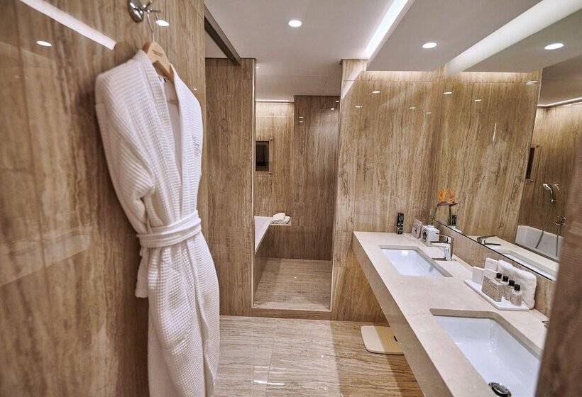 جناح مزود بتراس, Divani Palace Acropolis