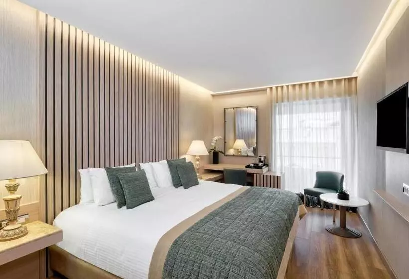 エクゼクティブルーム, Divani Palace Acropolis