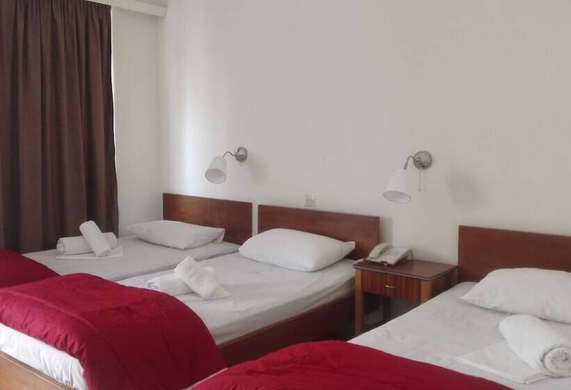 غرفة قياسية رباعية, Ionion