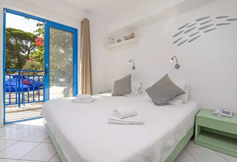 Standard Single Room