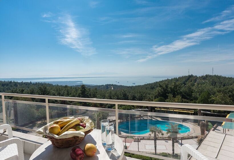 غرفة قياسية ثلاثية, Philippion