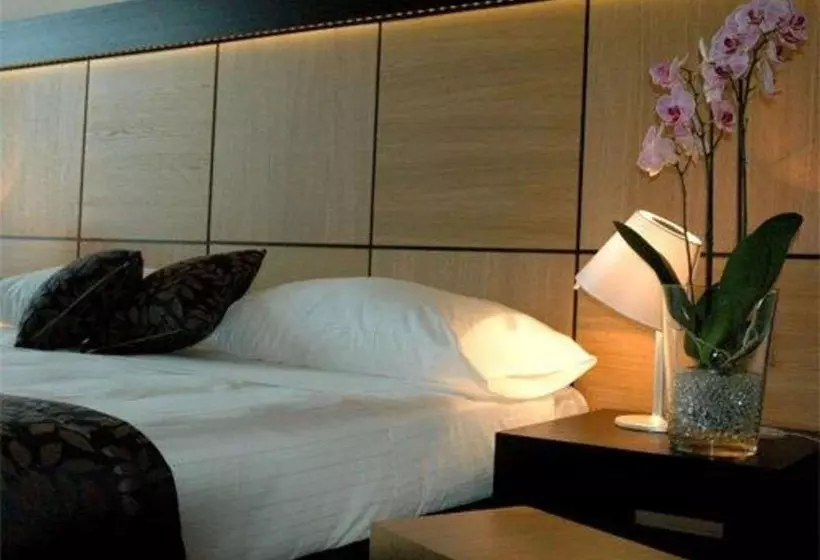 اتاق سوپریور یک تخته, B&b Hotel Borgaro Torinese
