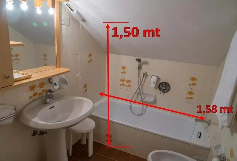 Economy-huone, Sporthotel Europa Sul Lago