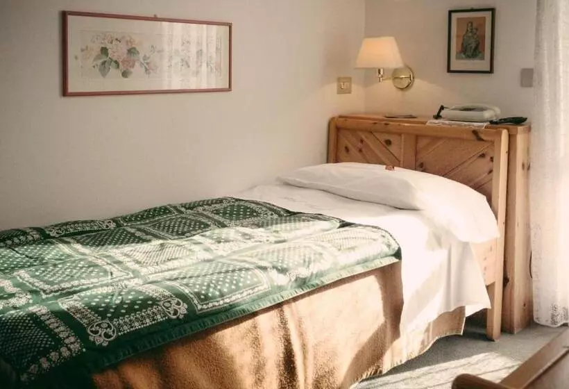 Standard Yhden Hengen Huone, Sporthotel Europa Sul Lago