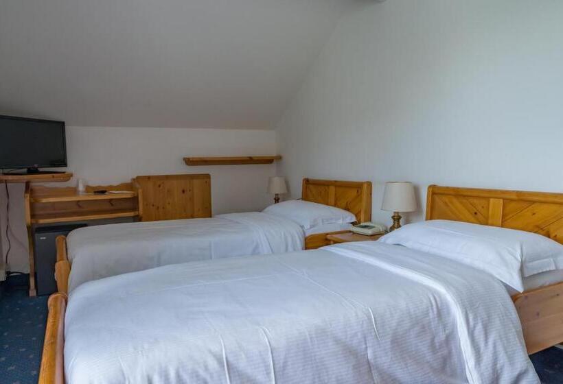 Номер Стандарт, Sporthotel Europa Sul Lago