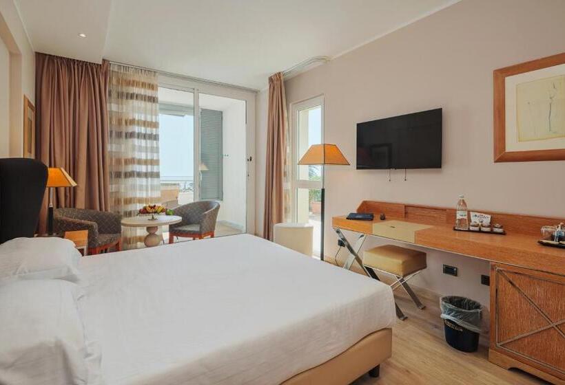 Номер Стандарт с Террасой, Excelsior