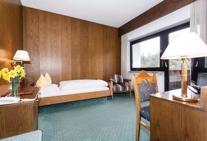 Standard Single Room, Am Wolfgrubenersee