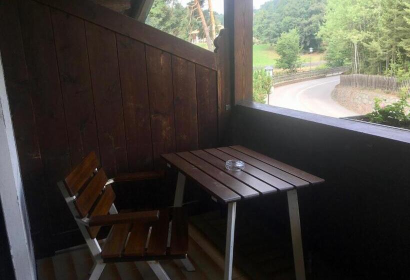 Номер Economy Индивидуальный, Am Wolfgrubenersee