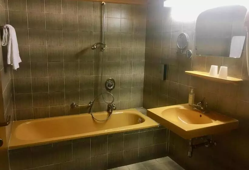 Economy Room, Am Wolfgrubenersee