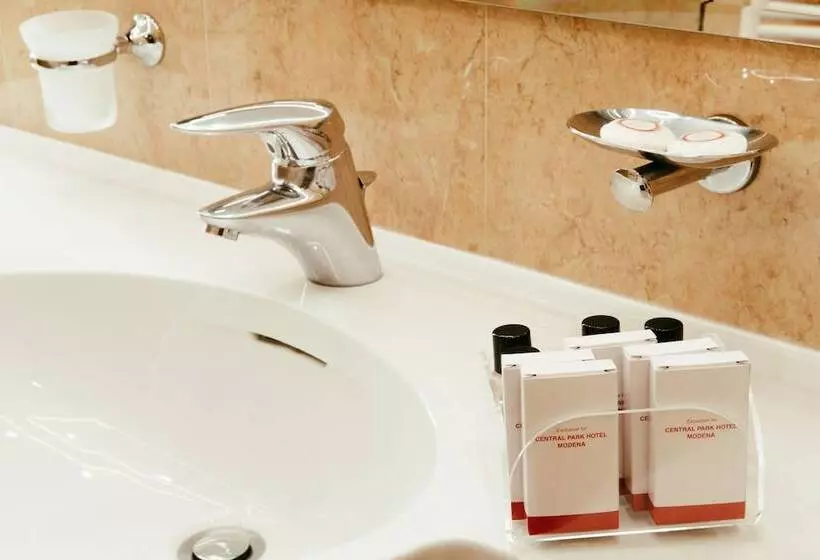 اتاق استاندارد یک نفره, Central Park Hotel Modena
