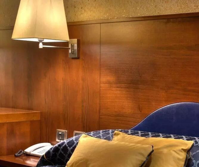 اتاق استاندارد یک نفره, Central Park Hotel Modena
