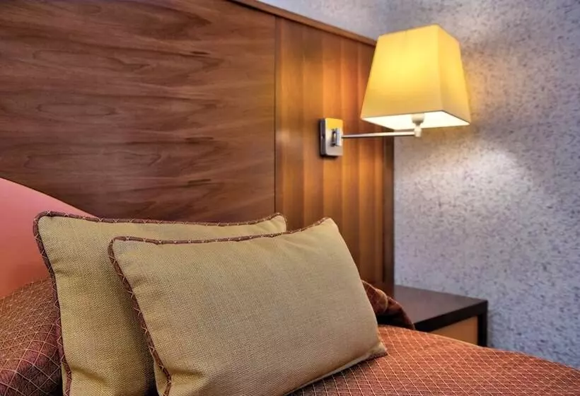 اتاق استاندارد, Central Park Hotel Modena